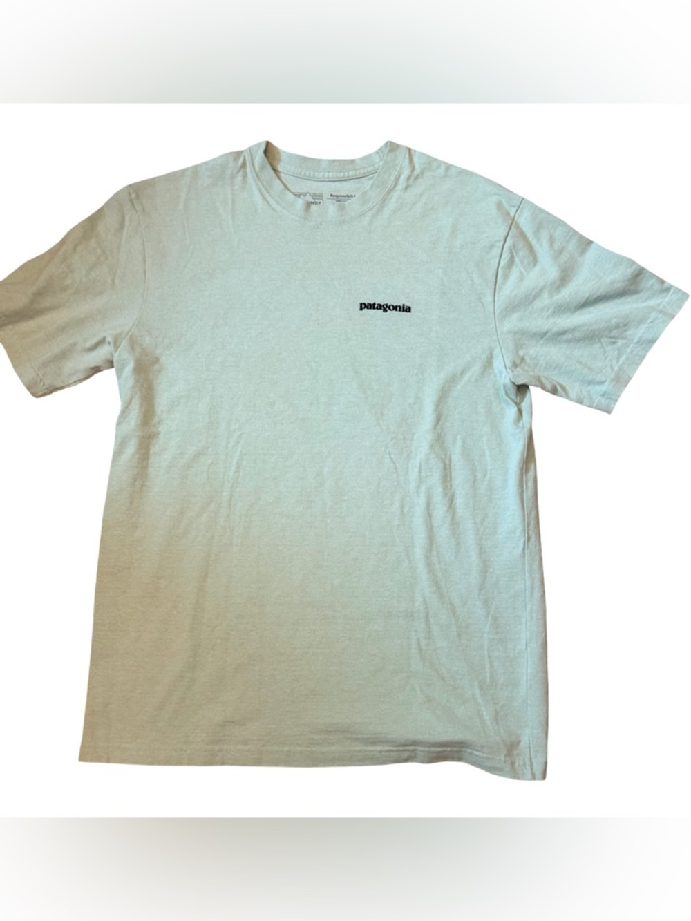 Patagonia Responsibili-Tee Light Green Men’s Small 🌏 - Picture 2 of 6